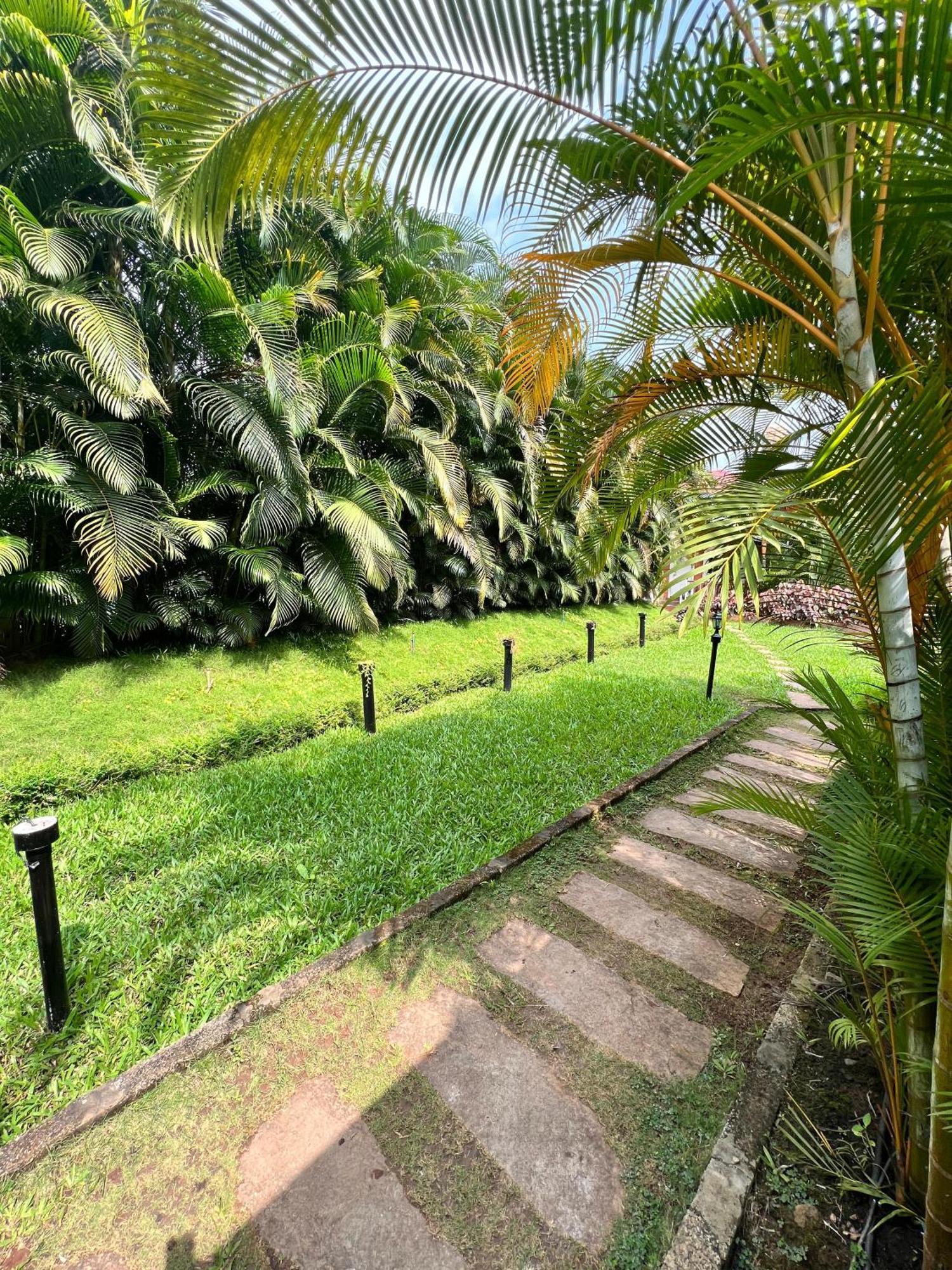 Plumeria Resort Kushālnagar المظهر الخارجي الصورة